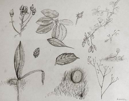 Sketches