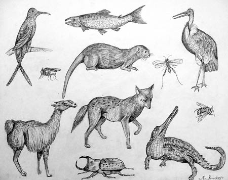 Sketches_2