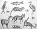 Sketches_2