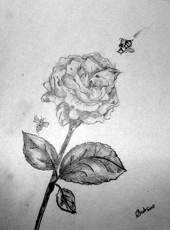A_rose_and_a_bees
