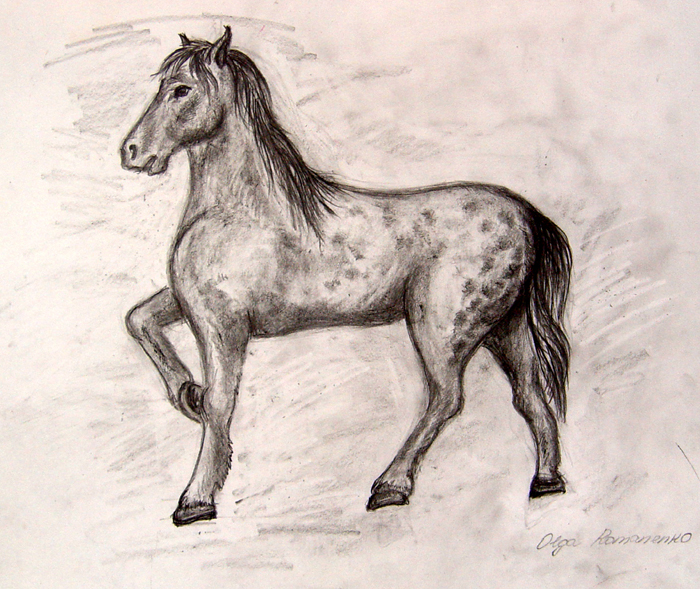 Horse