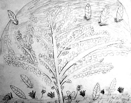 Sketches