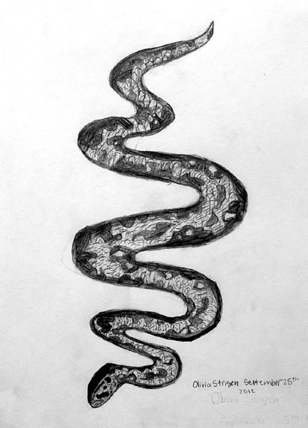 Snake