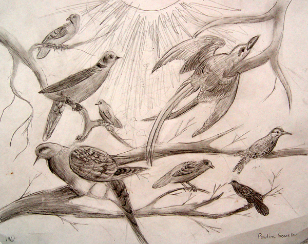 Birds