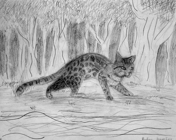 Lynx