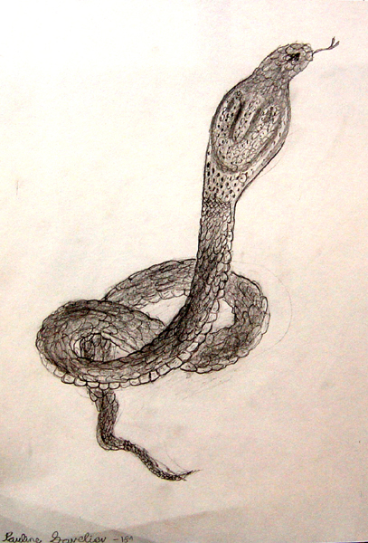 Snake