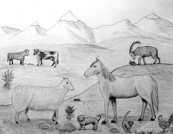 Animals_2