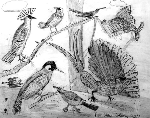 Birds