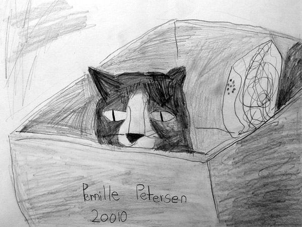 Cat_2