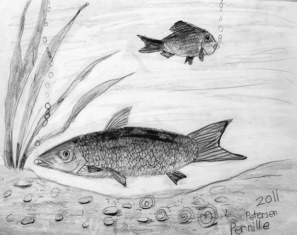 Fish