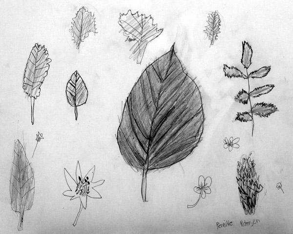 Leafes