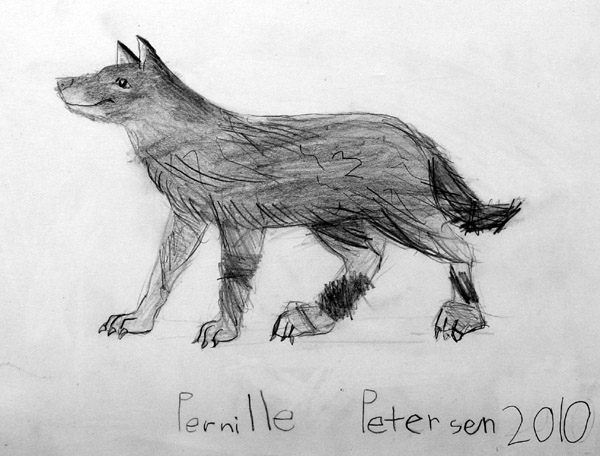 Volf