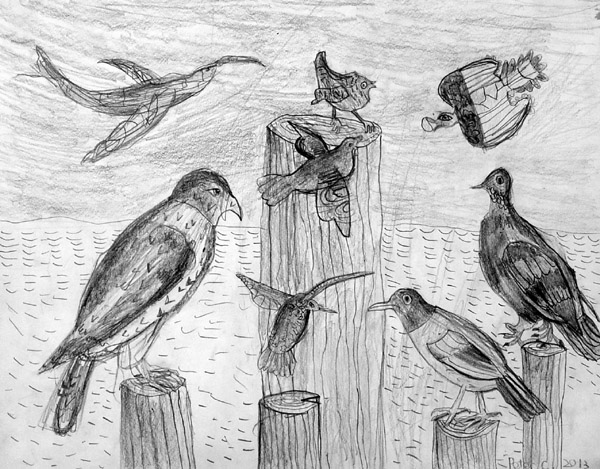 Birds