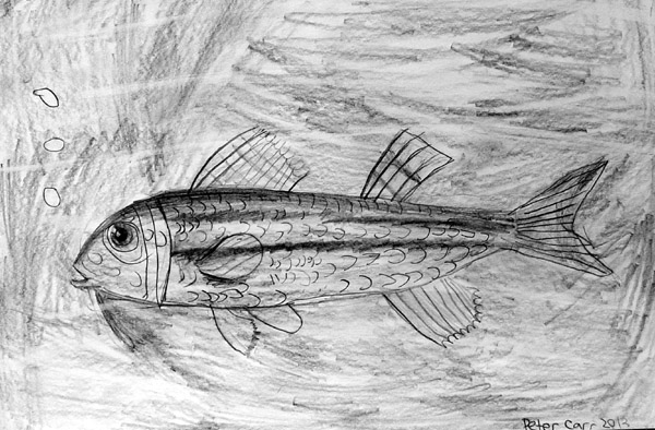 Fish_2