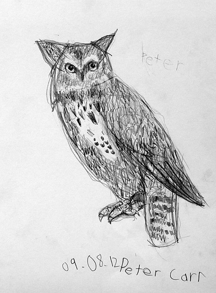 Owl