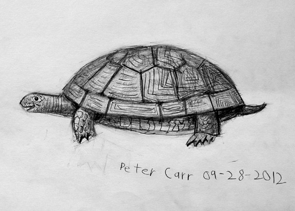 Turtle