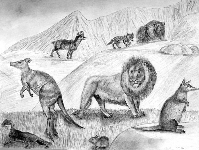 Animals_2