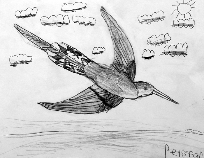 Bird