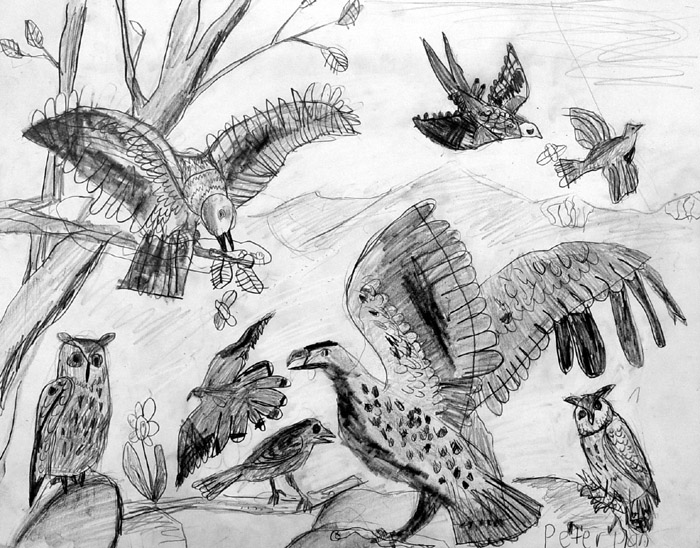 Birds