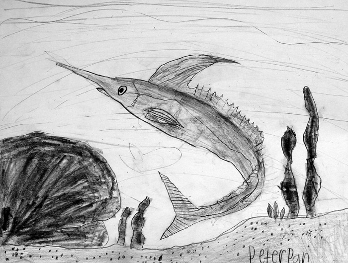 Fish