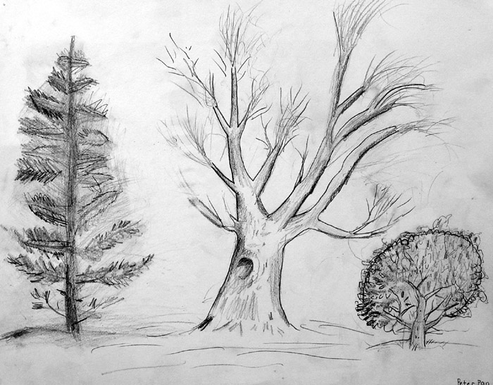 Trees