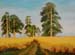 Landscape_4_(study)_oil