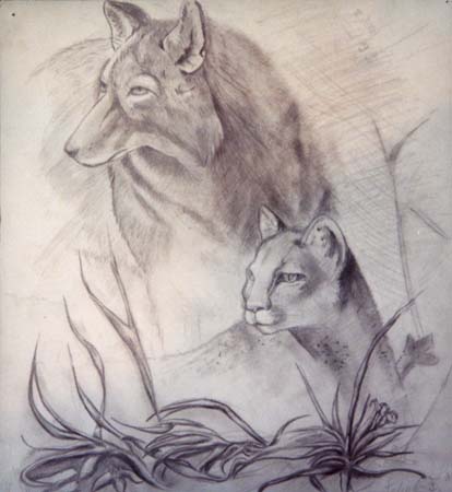 Animals