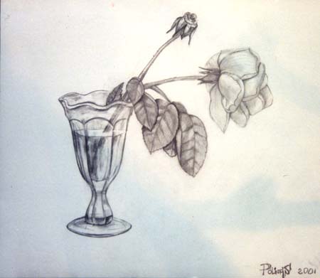 Rose in the glass