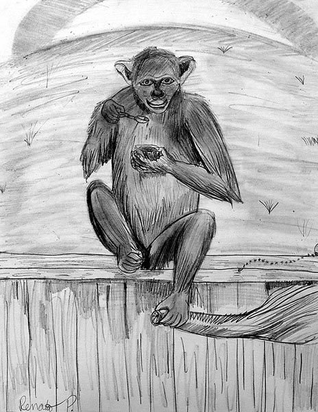 Monkey