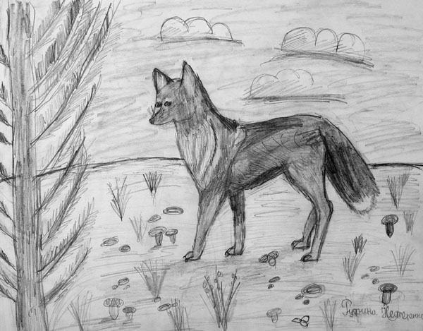 Fox