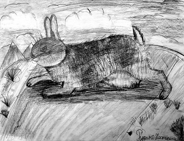 Rabbit