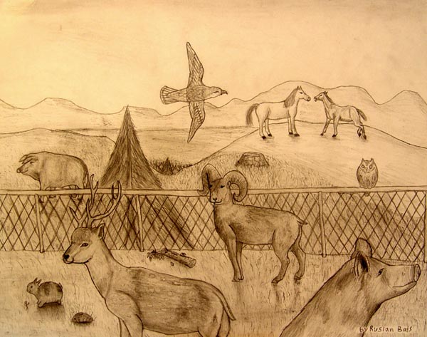 Animals_1