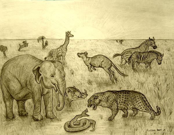 Animals_2