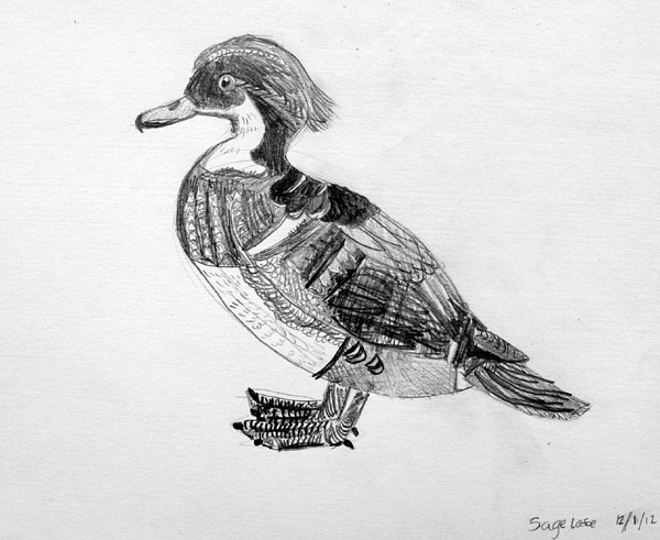 Bird_2