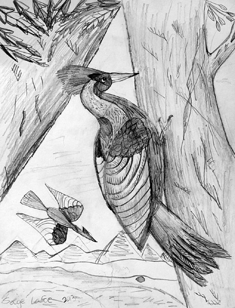 Bird_3