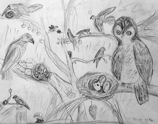 Birds