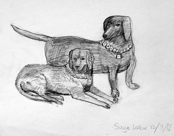 Dogs