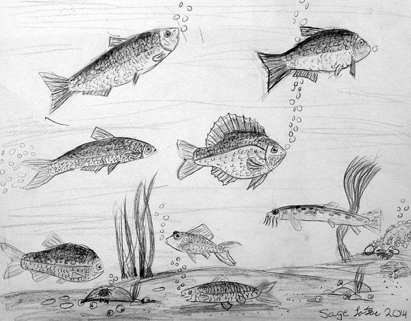 Fishes