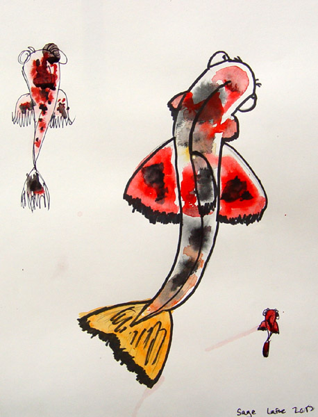 Koi-fish