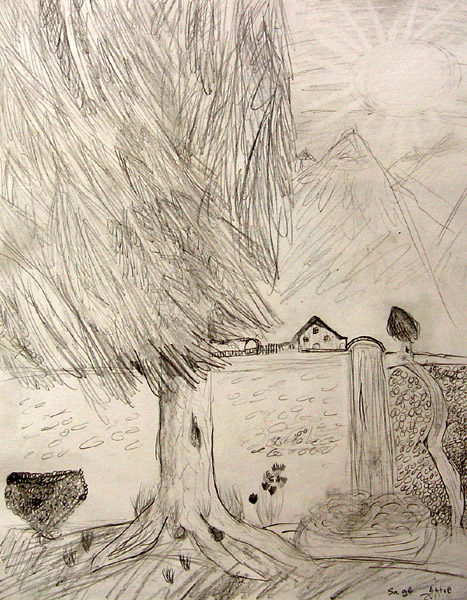 Landscape