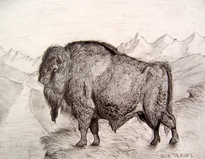 Buffalo