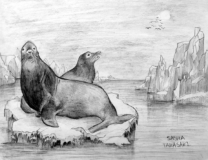 Sea_lions