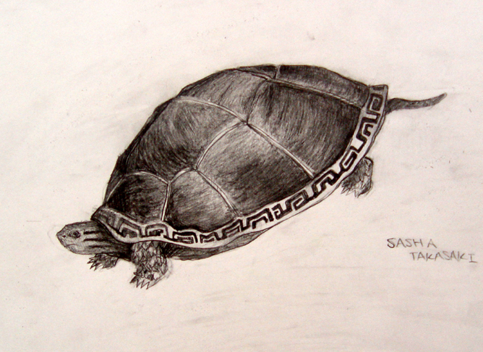 Turtle