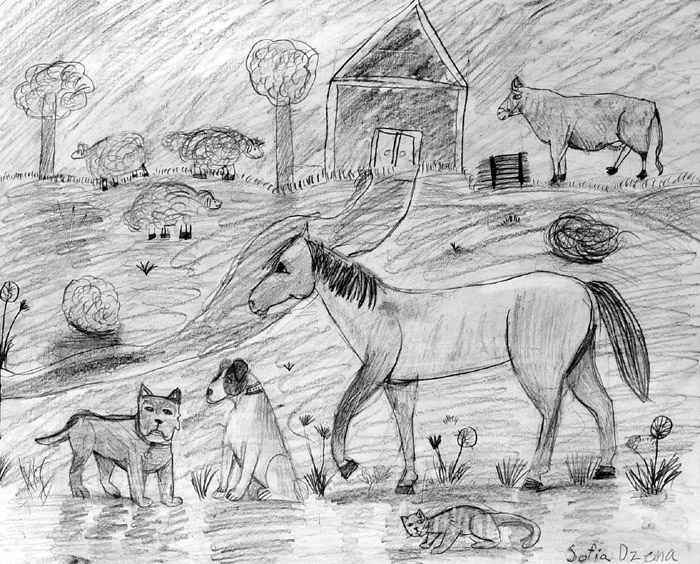 Animals_1