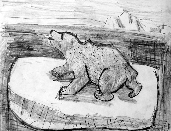 Bear