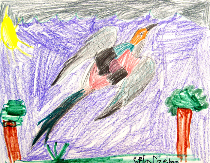 Bird