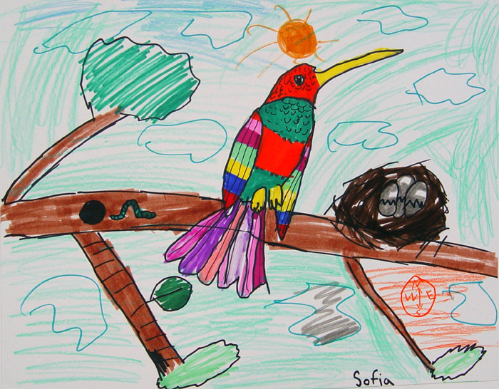 Bird_34
