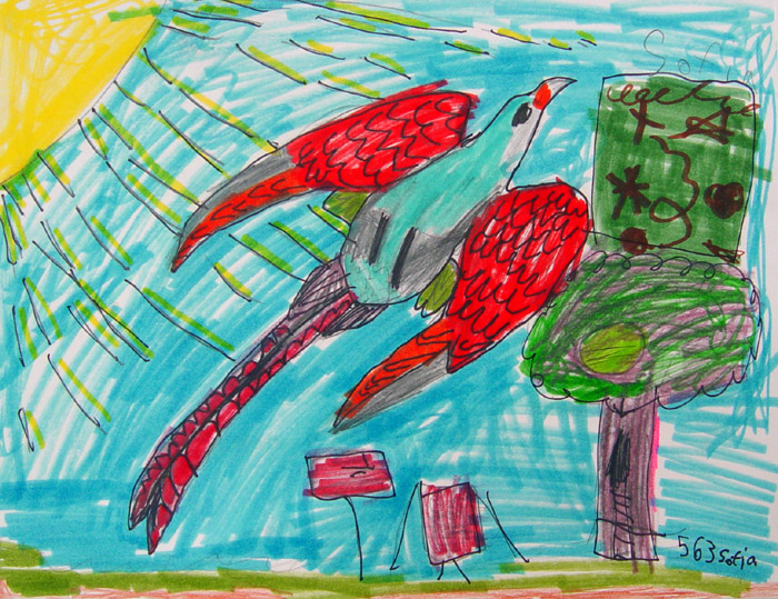 Bird_5