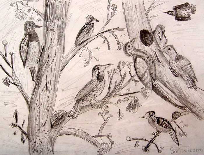 Birds