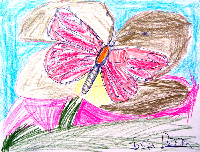 Butterfly